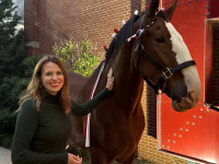 after-session-12-horse