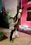 after-session-16-horse