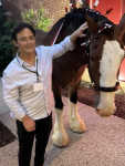 after-session-35-horse