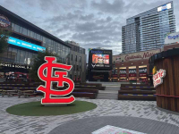 cardinals