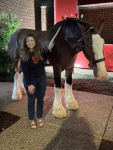 christin-k-horse